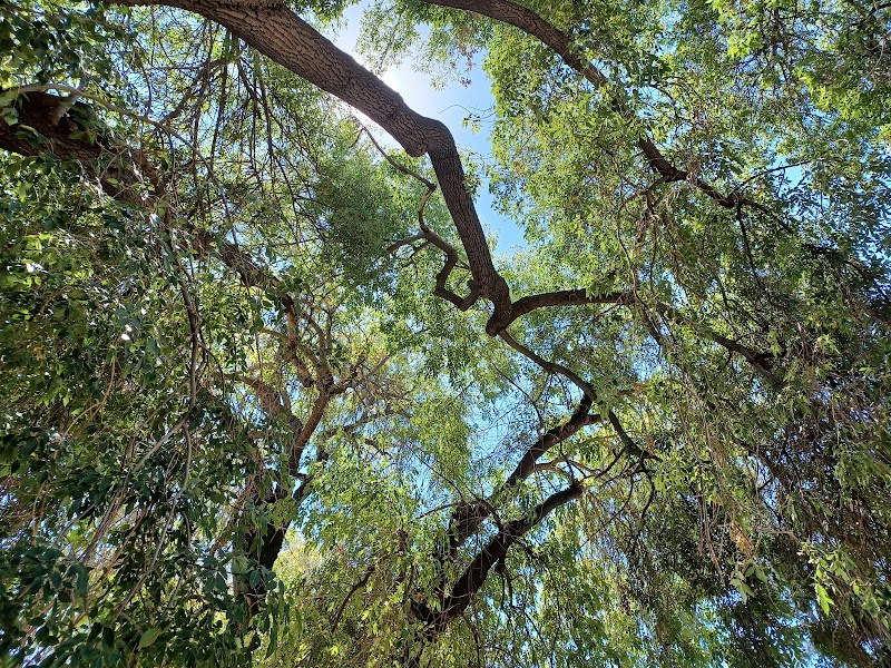 Holmes Park — Outdoor Sports for Kids in Fresno