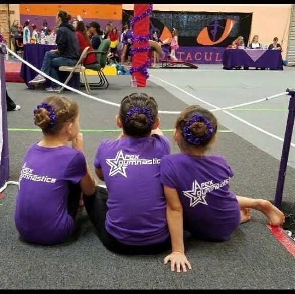 Apex Gymnastics
