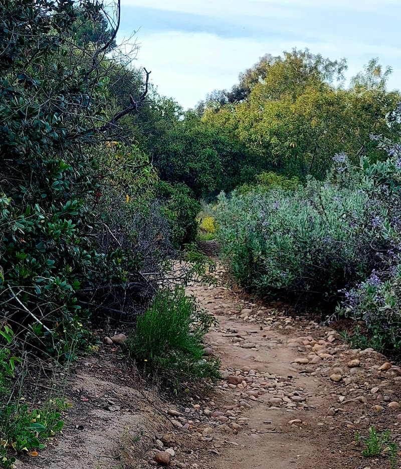 Juniper Canyon — Hiking with Kids in San Diego