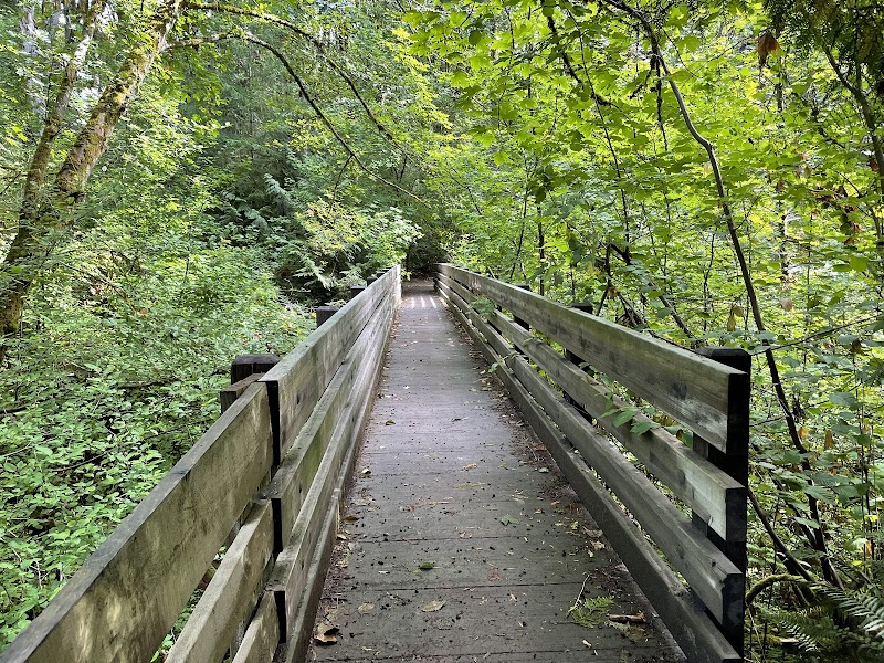 Taylor Creek & Trail — Hiking with Kids in Seattle