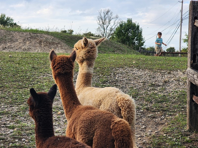 Pure Passions Farm