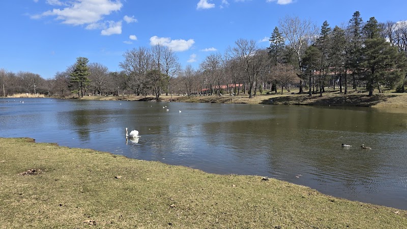 Trout Lake Canoe Launch — Kayaking for Kids in Rochester