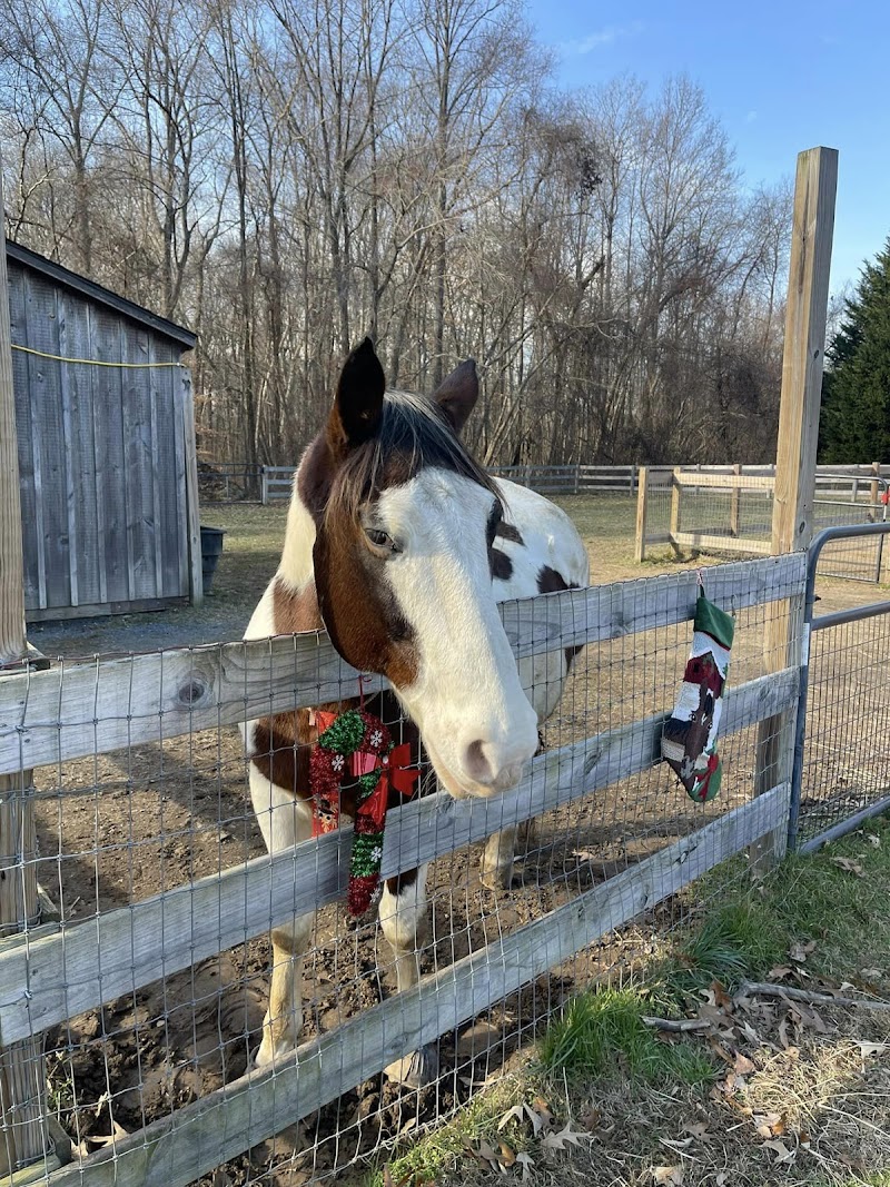 Dragonfly Acres Farm — Petting Zoos in Baltimore