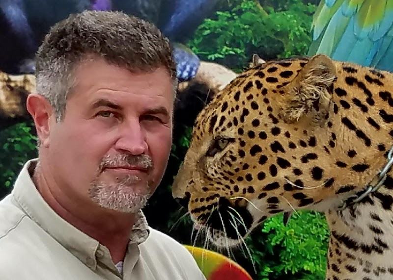 Wild World of Animals