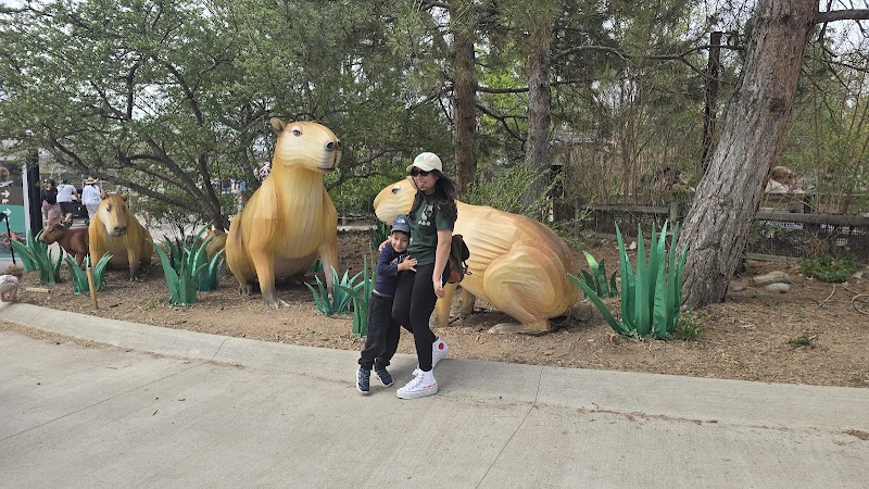 Harmony Hill — Petting Zoos in Denver