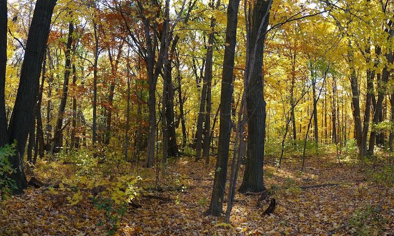 Cudahy Nature Preserve — Hiking with Kids in Milwaukee