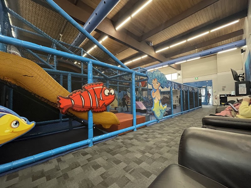 Sharky's Playground