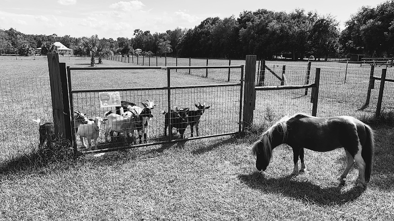 Dancing Moon Farm, LLC — Petting Zoos in Orlando
