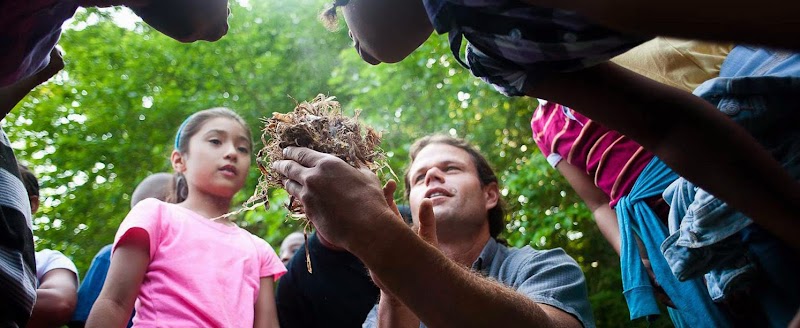 White Pine Wilderness Academy — Summer Camps in Indianapolis