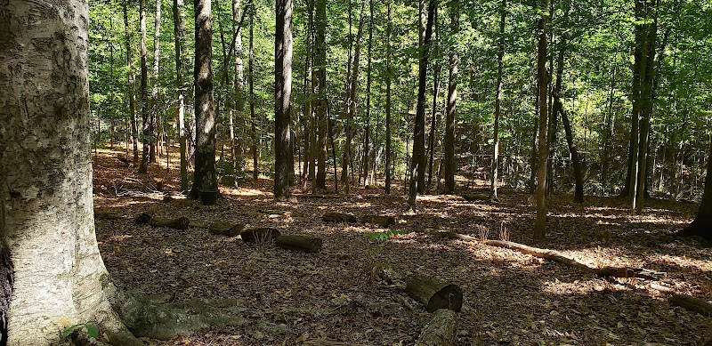 Outdoor Activity Center — Easter Holiday Activities in Atlanta