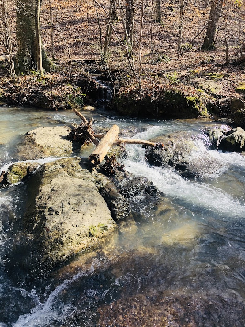 Maggie's Glen — Hiking with Kids in Birmingham