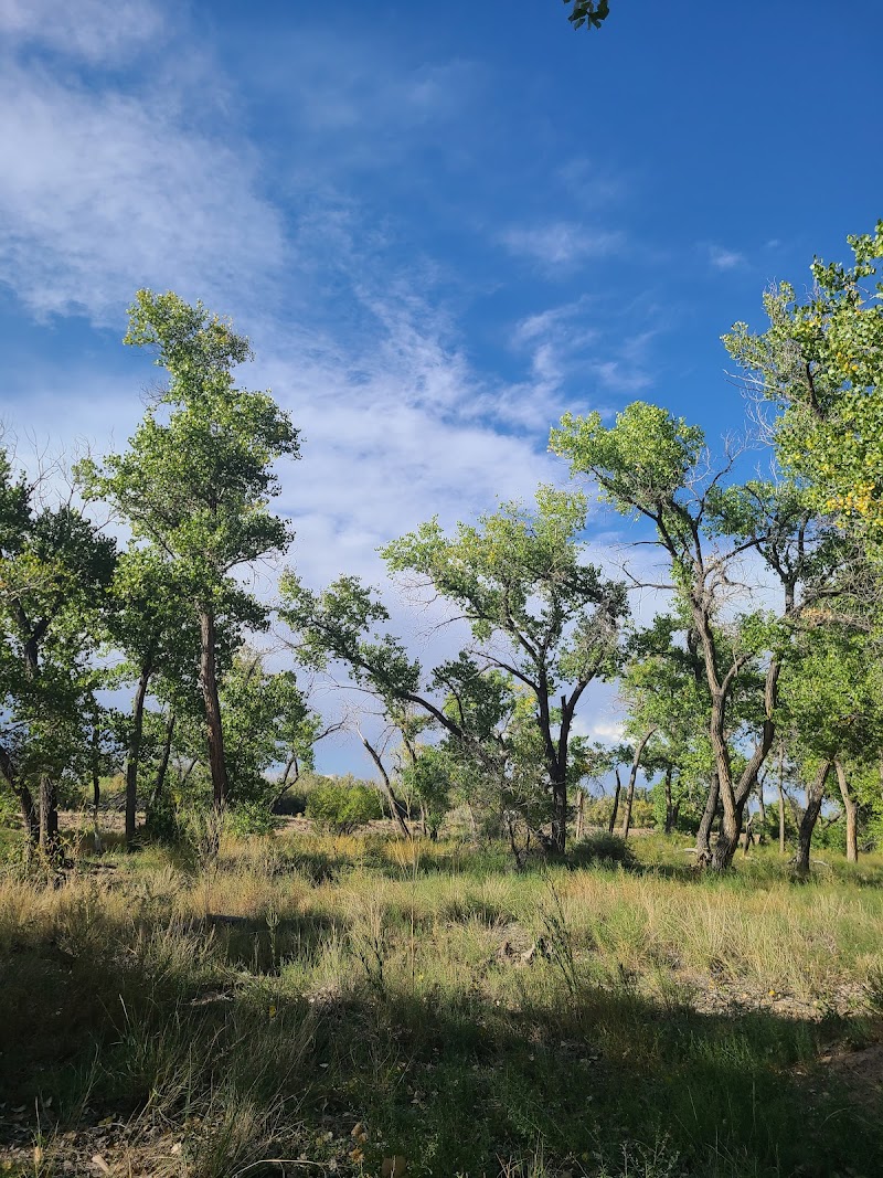 Coors Bosque Trails — Hiking with Kids in Albuquerque