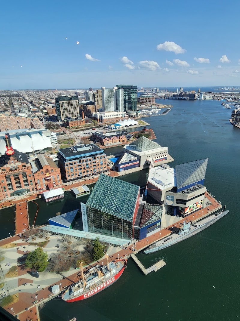 Top of the World Observation Level