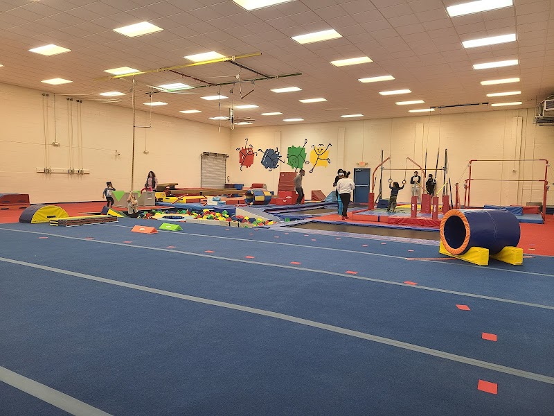 Wendy's Gymnastics & Fitness for Children