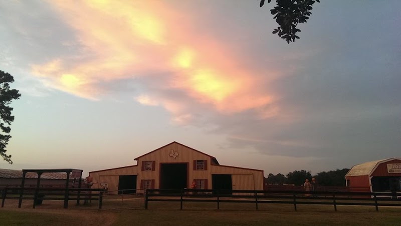 Oil Ranch