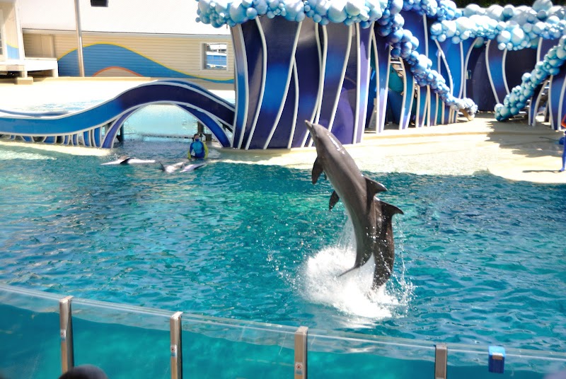 Dolphin Theater