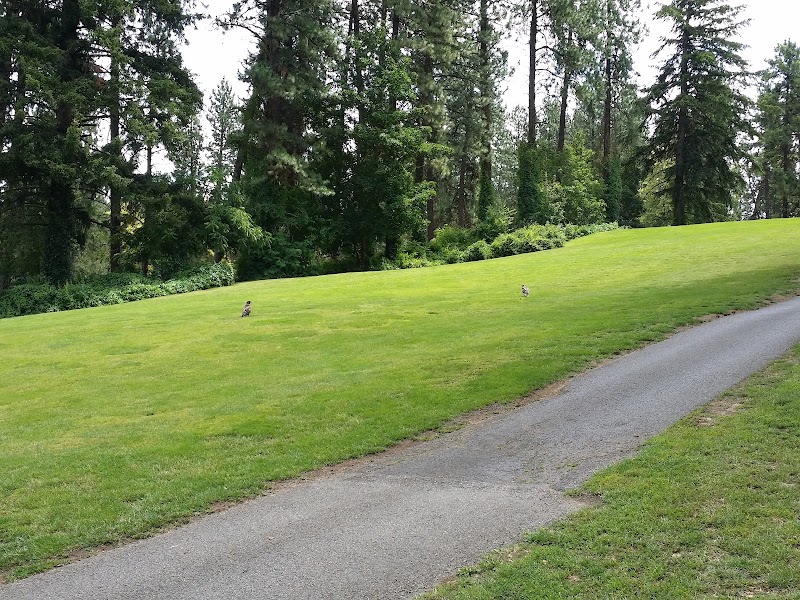 Spokane City Parks & Recreation — Kayaking for Kids in Spokane