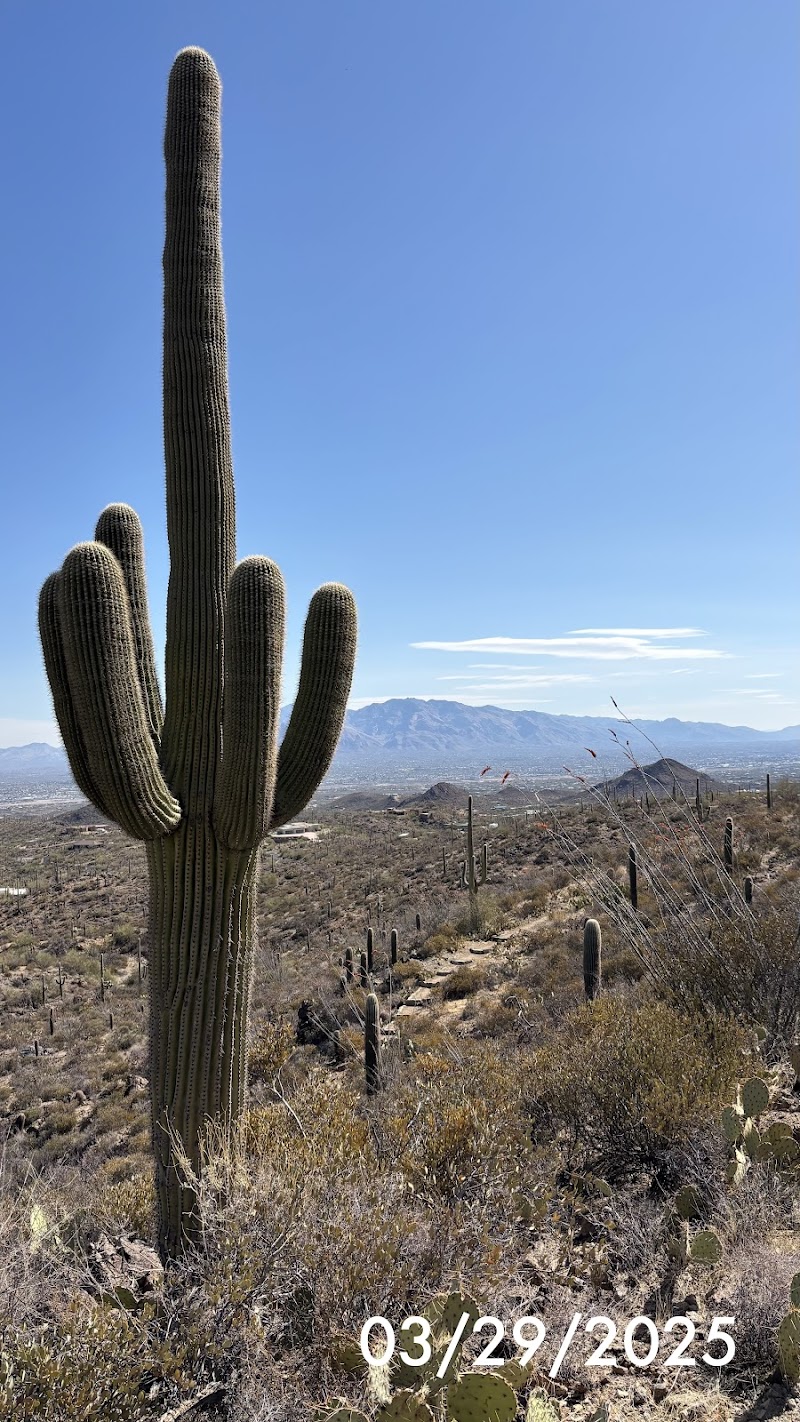 Pima Canyon Trailhead — Hiking with Kids in Tucson