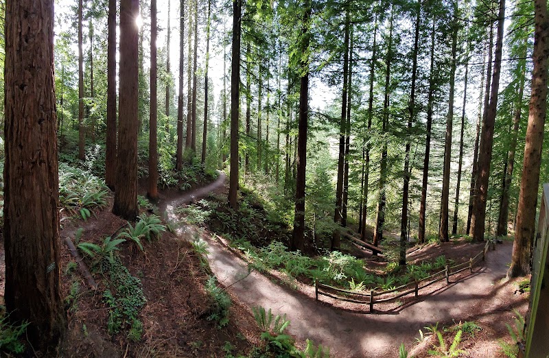 Hoyt Arboretum