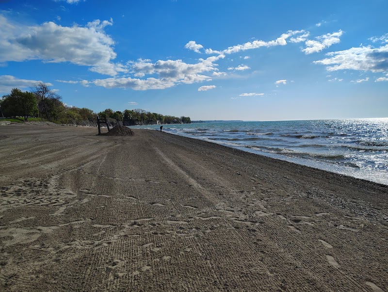 Longboards — Kayaking for Kids in Buffalo