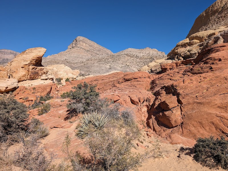 Calico Tanks Trail — Hiking with Kids in Las Vegas