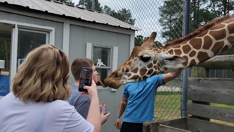 Aloha Safari Park