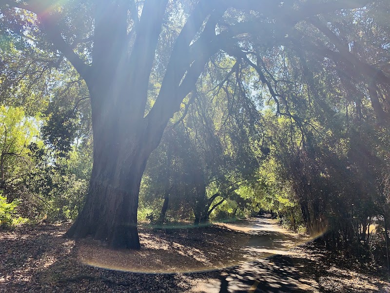 Coyote Creek Trail, San Jose, CA