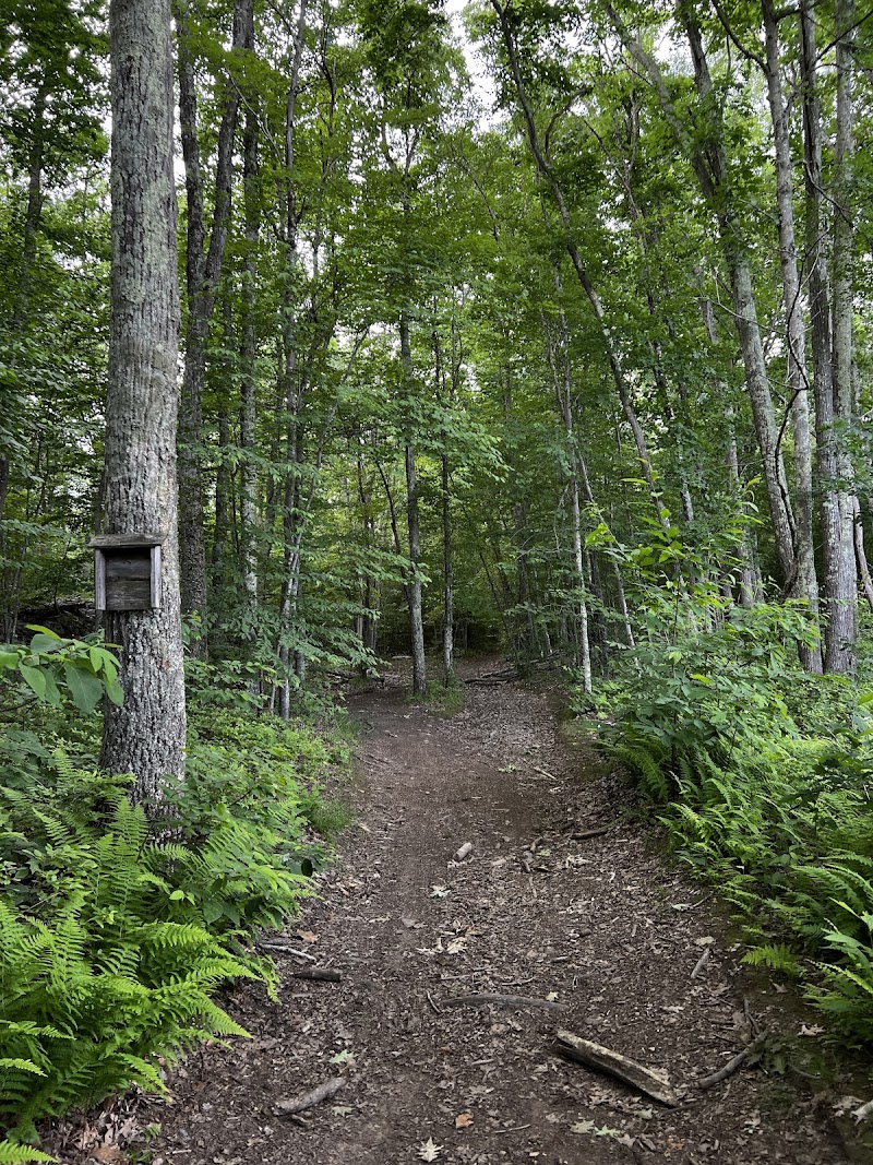 Snake Den State Park — Hiking with Kids in Providence