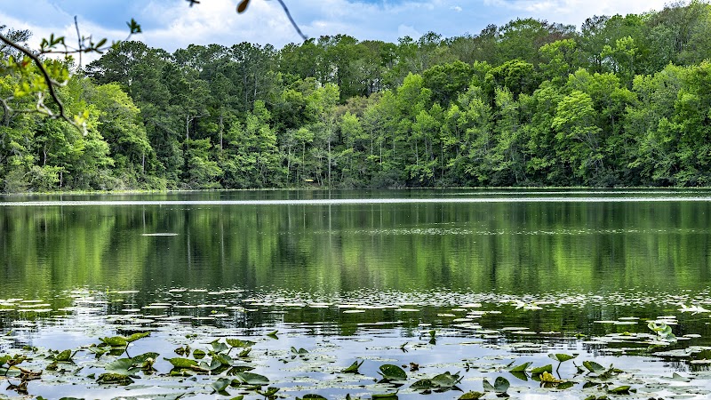 University Of North Florida Nature Trails