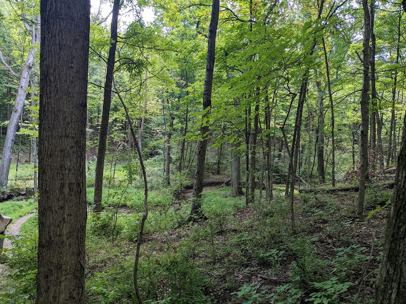 Big Run Park — Hiking with Kids in Columbus