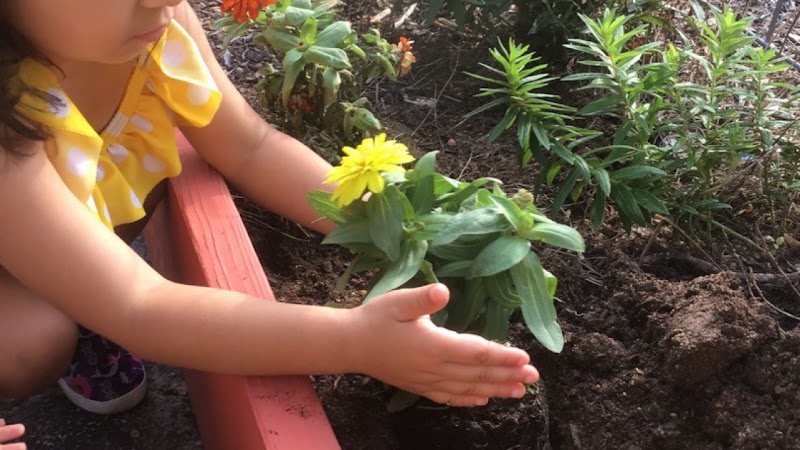 Nature and STEM Kids College
