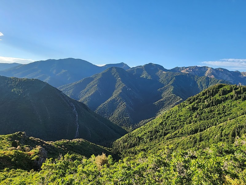 Millcreek Canyon — Hiking with Kids in Salt Lake City