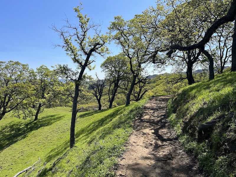 Rancho San Vicente Open Space Preserve — Hiking with Kids in San Jose