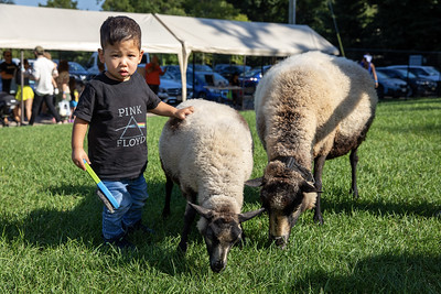 Animal Interactions — Petting Zoos in New York