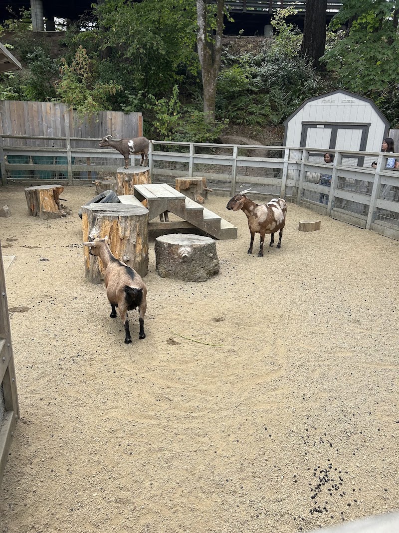 Petting zoo — Petting Zoos in Portland