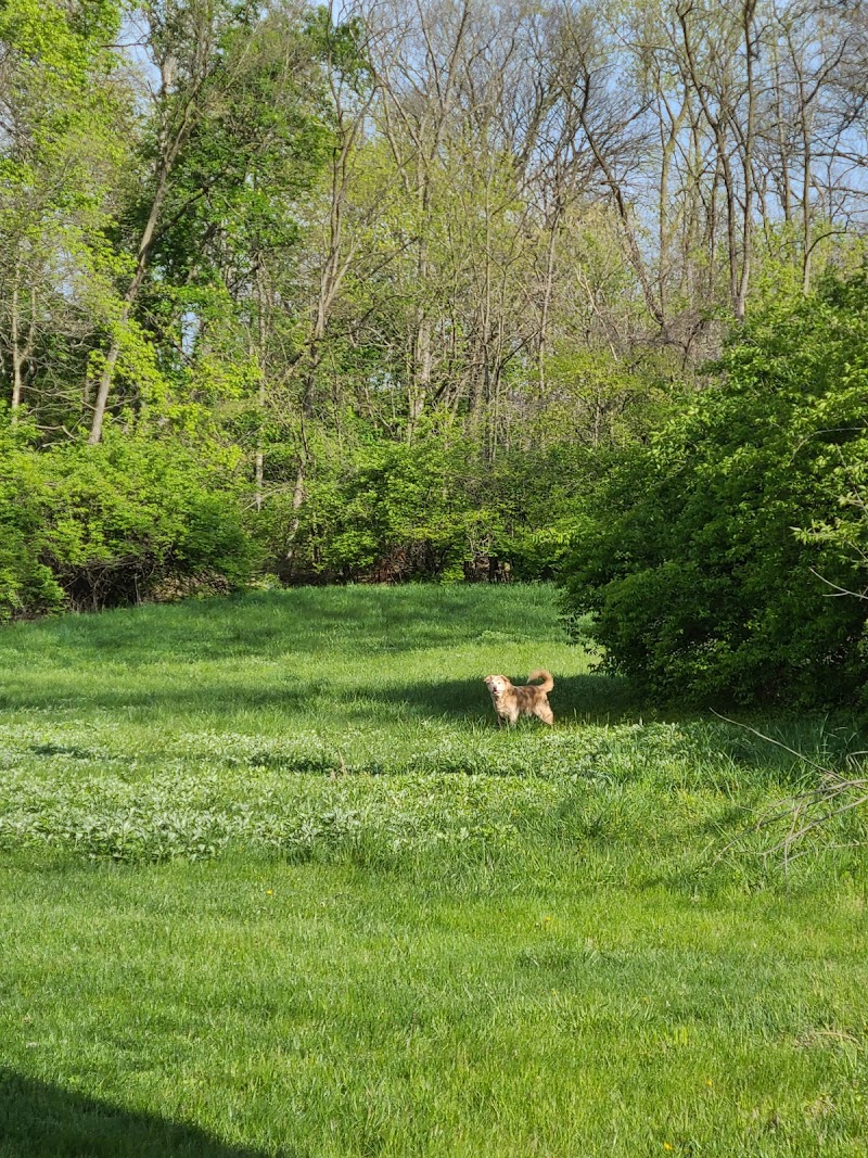 Three Creeks Park Canoe Access — Kayaking for Kids in Columbus