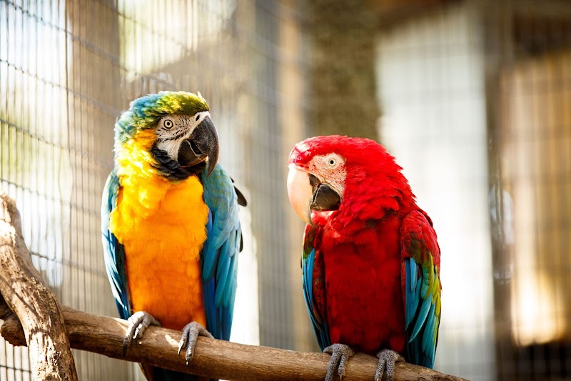 Fantasy Farms — Petting Zoos in Jacksonville