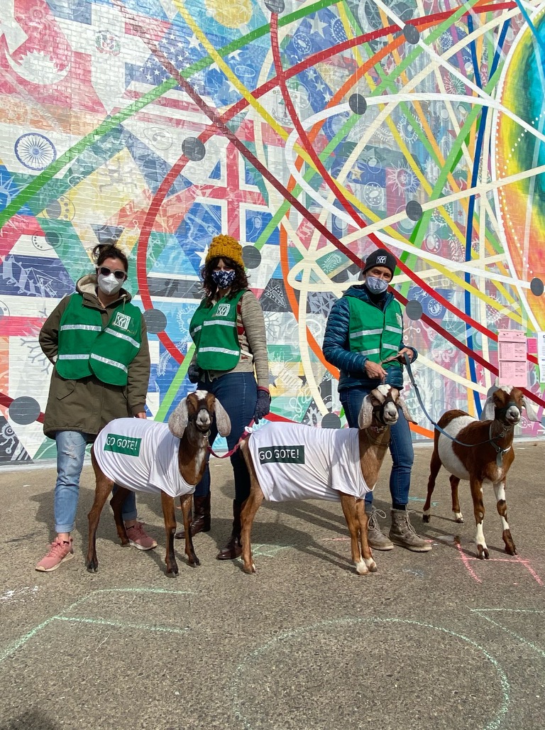 Philly Goat Project — Fall Festivals in Philadelphia