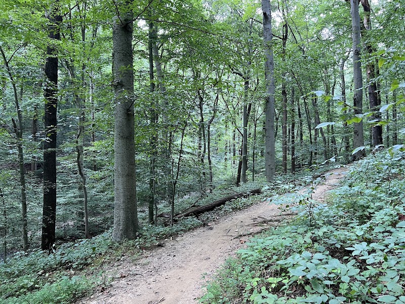 Patapsco State Park - Soapstone Trail Start — Hiking with Kids in Baltimore