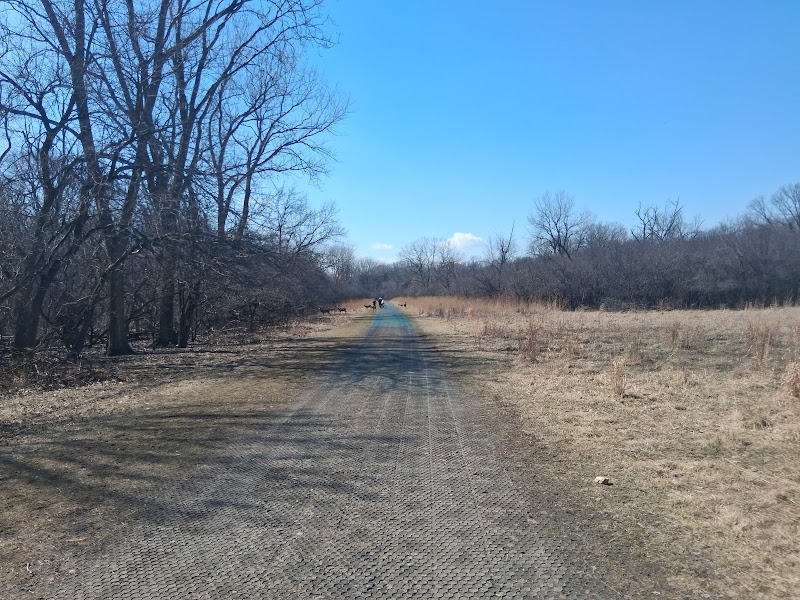 Catherine Chevalier Woods — Hiking with Kids in Chicago