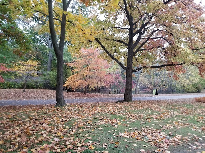 Olmsted Park — Hiking with Kids in Boston