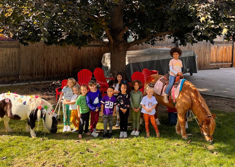 Pony Party Idaho