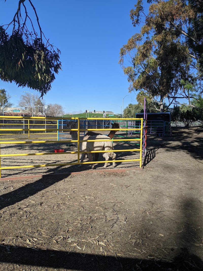 Animal Assisted Happiness — New Year's Eve Kids Activities in Sunnyvale