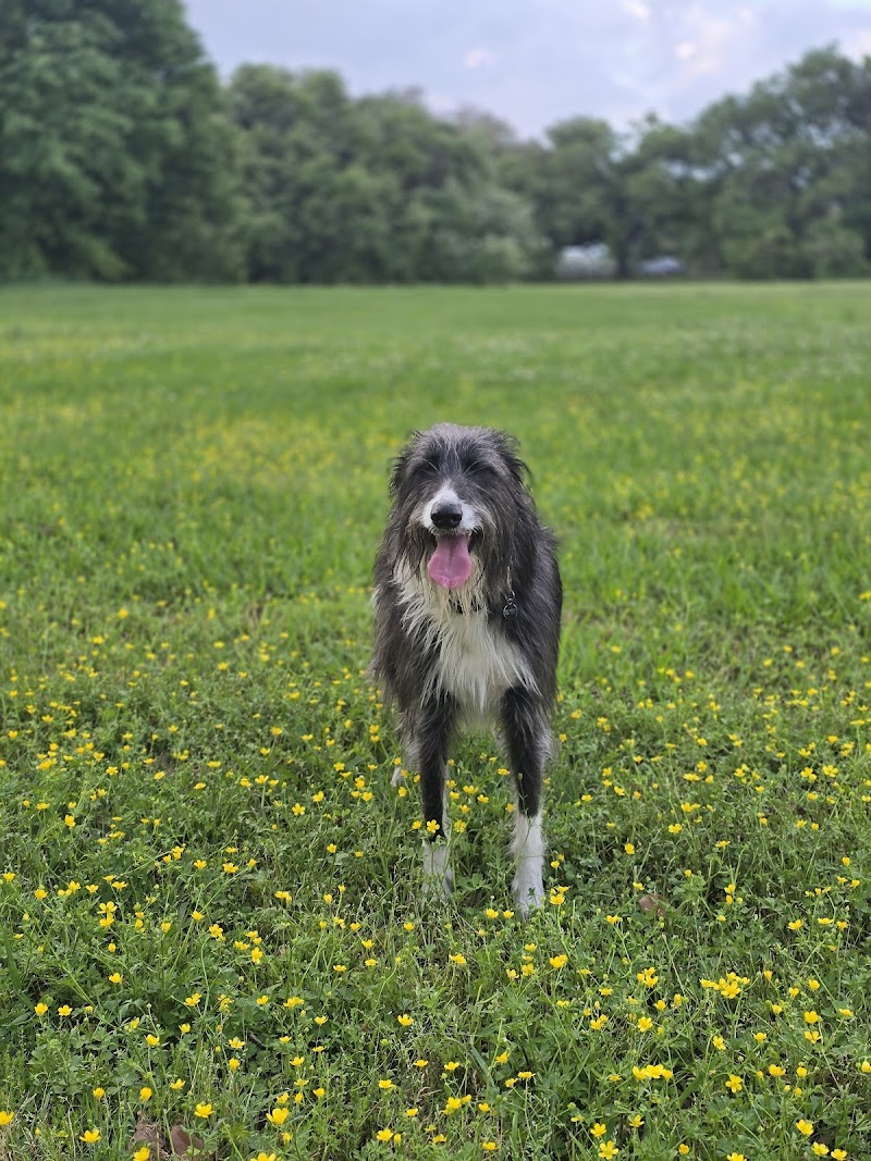 Wisner Tract Park — Hiking with Kids in New Orleans