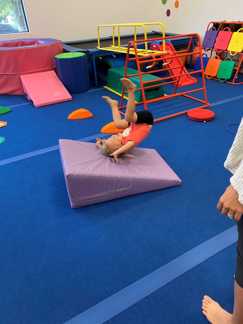 Legacy Gymnastics