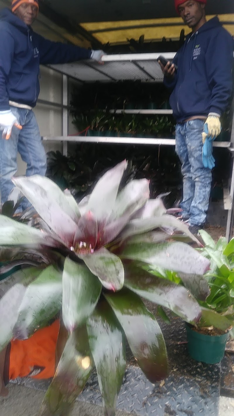 North Lawndale Youth Farm — Farms and Agritourism in Chicago