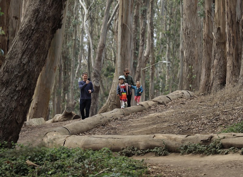 Lovers’ Lane at the Presidio