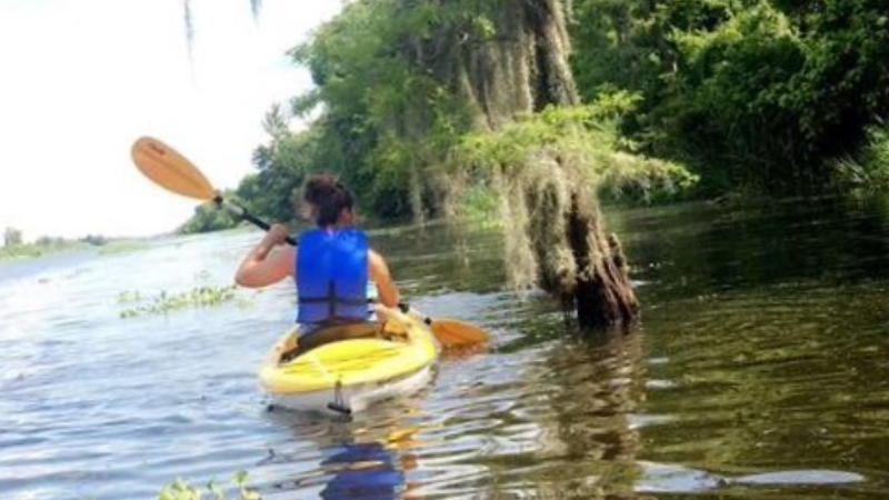 Swamp Explorers — Kayaking for Kids in New Orleans