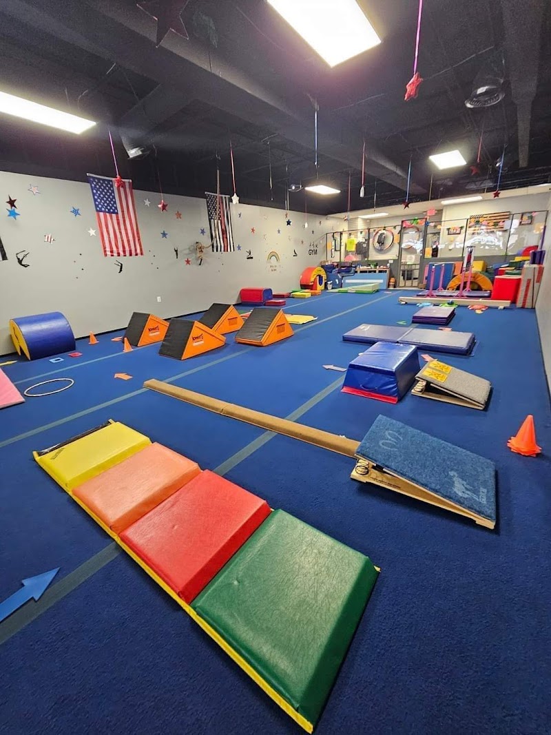 Little Stars Gymnastics