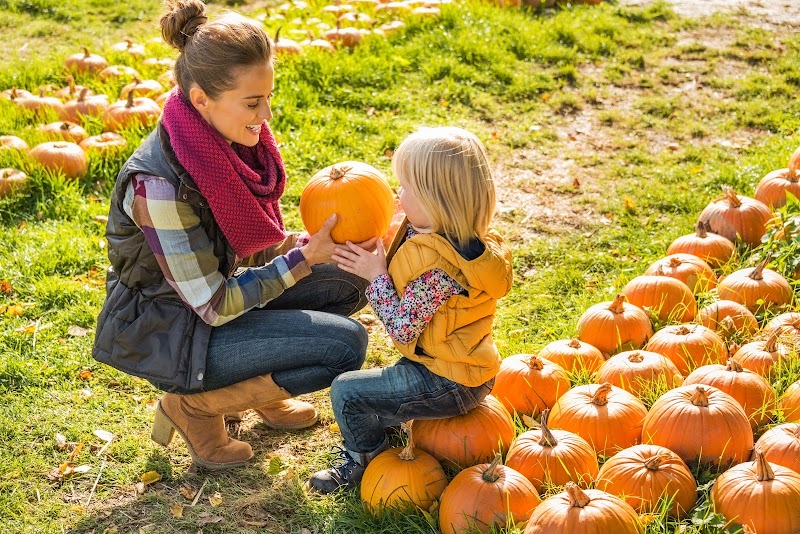 Amazing Grace Family Farms